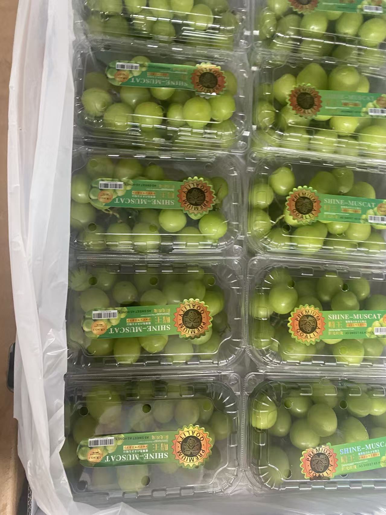 grape